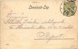 1907 Arad, Erzsébet királyné körút / street view (fl)