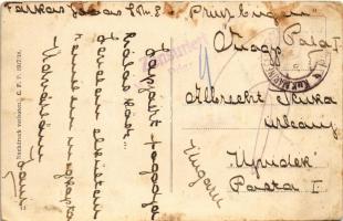 SMS Erzherzog Friedrich, SMS Erzherzog Ferdinand Max, SMS Erzherzog Karl az Osztrák-Magyar Haditenge...