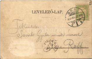 1904 Arad, A 13 vértanú kivégzési helye. Kerpel Izsó kiadása / execution place of the 13 martyrs of ...