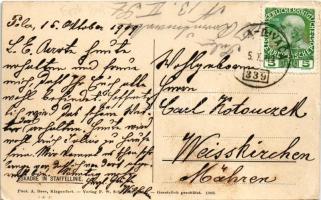 1909 Eskadre in Staffellinie / K.u.K. Kriegsmarine. Phot. Alois Beer (fa)