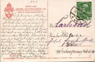 1913 SM Schlachtschiff "Erzherzog Karl". Österr. Flottenverein Serie II. Nr. 5. / SMS Erzh...