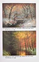 Markója Csilla: Egy másik Mednyánszky. Tanulmányok. 2008, Enigma. Kiadói papírkötés, gerincén szakad...