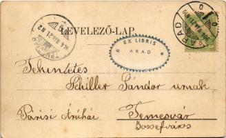 1904 Arad, Indóház, vasútállomás. Kerpel Izsó kiadása / railway station (EK)