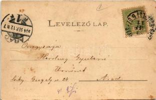 1904 Arad, Szabadság tér, piac, Ipar és Népbank, Adria Biztosító, Kuttn Gyula és Hubatschek T. üzlet...