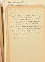 Küffer Béla (1856-1928) a képviselőház könyvtárnokának kézzel írt jegyzetei, előadás töredékei, tárg...