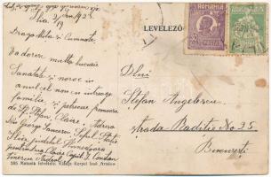 1923 Arad, Újarad, Új-Arad, Aradul Nou; Marosparti vári malmok Újarad alatt, hajómalom. Matusik felv...