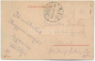 1909 Soborsin, Savarsin; Hunyadi gróf kastélya. W.L. 3105. / castle (fl)