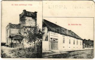 Lippa, Lipova; Dr. Halic-féle ház, Dr. Halic szőlőhegyi villája / villa (b)