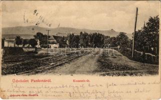 1912 Pankota, Pancota; Kossuth út. Beamter Ödön kiadása / street view (fl)