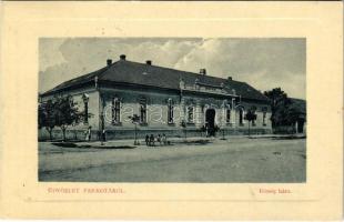 1916 Pankota, Pancota; Községháza. W.L. Bp. 5424. / town hall (ragasztónyom / glue marks)