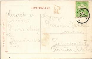 1916 Pankota, Pancota; Községháza. W.L. Bp. 5424. / town hall (ragasztónyom / glue marks)