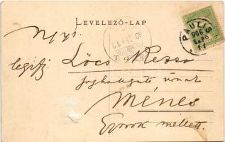 1906 Ópálos, Ó-Pálos, Ópaulis, Paulis (Arad-Hegyalja); Margit villa. Bloch H. kiadása / villa (ragas...