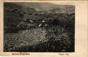 1919 Magyarád, Magyarát, Maderat; Nagyúri hegy / hill (fl)