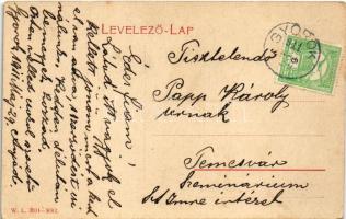 1911 Gyorok, Ghioroc; Nádasdy tér, Eichner Adolf és fia üzlete, szálloda. W.L. 3094-3082. / square, ...