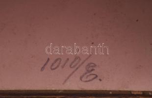 cca 1850 Fiatal hölgy, ambrotípia (a dagerrotípiához hasonló technika), dekoratív, dombornyomott bőr...