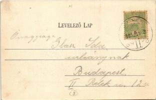 1905 Budapest XI. Kelenföld, Mattoni-féle Erzsébet királyné sósfürdő, Mattoni lak és társalgóterem (...