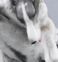 Carl Scheidig agárpár. Jelzés nélkül, sorszámozott, hibátlan, 18x17 cm