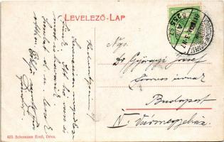 1911 Déva, Fő utca és vár, Fehér Kereszt szálloda, Hirsch testvérek és Mallász üzlete, gyógyszertár....