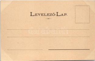 Nagyenyed, Aiud; látkép, sétatéri síremlék, este. Wokál János utóda kiadása / general view, monument...