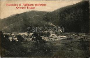 1913 Gyergyótölgyes, Tölgyes, Tulghes, Tulghies; Holzmann és Hoffmann gőzfűrésze, fűrésztelep. Strul Chaim kiadása / sawmill (fl)