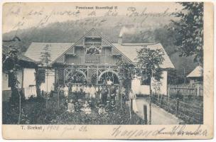 1908 Tiszaborkút, T. Borkút, Kvaszi, Kvasy (Máramaros); Port-Artur, Rosenthál féle nyaraló / villa