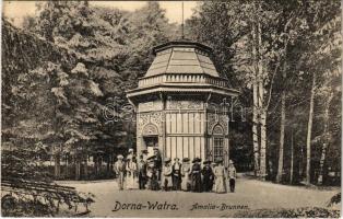 1918 Vatra Dornei, Dornavátra, Bad Dorna-Watra (Bukovina); Amalia Brunnen / fountain