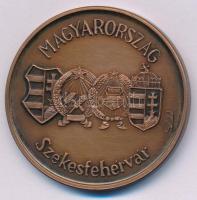 Székely János Jenő (1956-) "MÉE Székesfehérvár - 45 éves a Forint" bronz emlékérem (42,5mm...