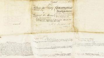 1885 Angol nyelvű szerződés