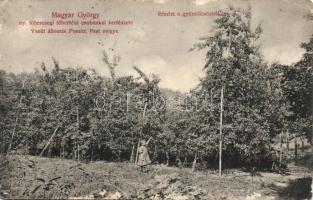 Pomáz vasútállomás Magyar György ny. főhercegi főkertész csobánkai kertészete (EB)