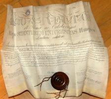 1892 Orvosi diploma állatbőrön, függőpecséttel / Doctor`s diploma 50x60 cm