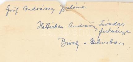 cca 1910 Andrássy Gyuláné gróf zicsi és vázsonykői Zichy Eleonóra (1867-1945) portréja, háttérben An...