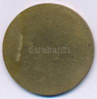 1957. "II. Rákóczi Ferenc Gimnázium 1907-1957" egyoldalas bronz emlékéem (36mm) T:AU