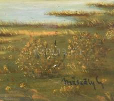 Mészöly G jelzéssel: Vízparti táj. Olaj, fatábla. Dekoratív, kissé sérült fakeretben. 30x40 cm
