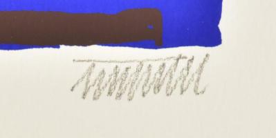 Németh János (1936-): Kompozíció. Szitanyomat, papír, jelzett, számozott (15/40), 20x20 cm