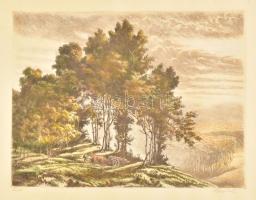 Paulovits Pál (1892-1975): Erdő. Színezett rézkarc, papír. Jelzett. Lap széle kissé foltos. 30x39,5 cm