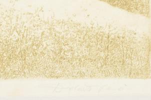 Dudás Jenő (1900-1991): Tihanyi nyár. Rézkarr, papír. Jelzett. Kissé foltos- Paszpartuban, 29,5×39 c...