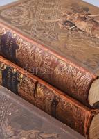 A magyar nemzet története. I-X.. köt. Teljes! Szerk. Szilágyi Sándor. Írták: Acsády Ignác, Angyal Dá...