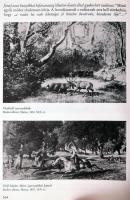 Dr. Csőre Pál: A magyar vadászat története. Bp., 1994, Mezőgazda. Fekete-fehér fotókkal illusztrálva...