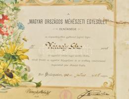 1903 Magyar Országos Méhészeti Egyesület nagy méretű litografált tagsági oklevél kartonon egy beszak...