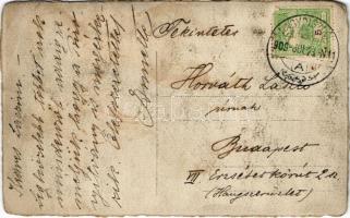 1909 Nagydisznód, Heltau, Cisnadie; vadász / hunter. photo (EB)