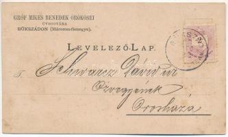 1897 (Vorläufer!) Sepsibükszád, Bikszád, Bicsadul-Oltului, Bixad; Gróf Mikes Benedek örökösei üveggyára reklámlap / glassworks, glass factory advertisement card (EB)