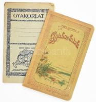 cca 1920-1930 2 db iskolai füzet, egyiken irredenta "Nem! Nem! Soha!" felirattal