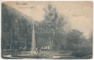 1909 Lőcsefüred, Lőcse-fürdő, Levocské Kúpele (Lőcse, Levoca); Park részlet, szökőkút. Braun Fülöp kiadása / park, spa, fountain (ázott / wet damage)