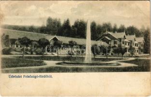 1911 Felsőzúgó-fürdő, Ruzsbachfürdő, Bad Ober Rauschenbach, Kúpele Vysné Ruzbachy; fürdőszálloda. Divald Károly fia / spa hotel (EK)