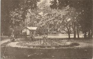 Szamosújvár alley (fa)