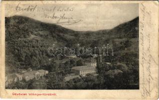 1906 Vihnye, Vihnyefürdő, Kúpele Vyhne; fürdő látkép / general view, spa (EB)