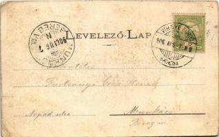 1906 Vihnye, Vihnyefürdő, Kúpele Vyhne; fürdő látkép / general view, spa (EB)