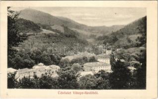 1909 Vihnye, Vihnyefürdő, Kúpele Vyhne; fürdő látkép / general view, spa (kis szakadás / small tear)