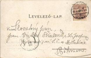 1898 (Vorläufer) Pöstyén, Pistyán, Piestany; Cursalon, Herrengasse, Infanterist / Úri utca, fürdők, ...