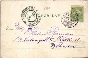 1902 Pöstyén, Pystian, Piestany; Gyógyterem, Cs. és kir. katonai kórház, Úri utca, népviselet, szobo...